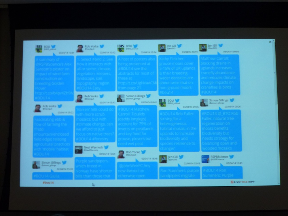 10 Conference Twitter wall