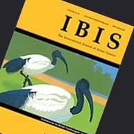 Ibis cover 2 2014 12 11
