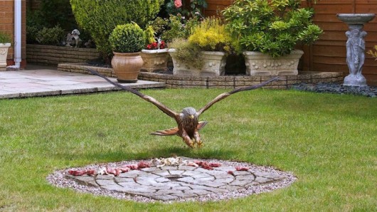 Orros Red-Kite garden feeding 2 credit Stuart Gay