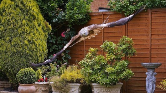 Orros Red-Kite- garden swoop credit Stuart Gay