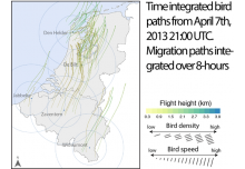 BOU2015_CBfrCWYWcAAOyzm.png-large
