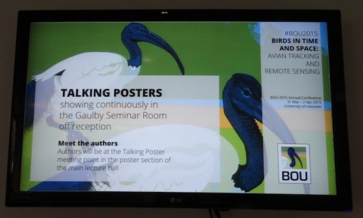 BOU2015_Plasma_screen