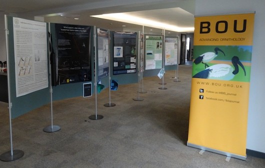 BOU2015_Posters
