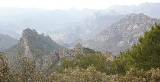 Blog_Regos_landscape