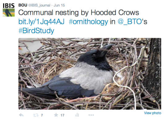 BOU tweet - BTO hooded crow paper