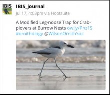 Dudley 7 IBIS_journal image tweet 2015-07-20 at 13.05.27