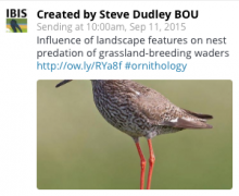 Dudley blog bad image tweet