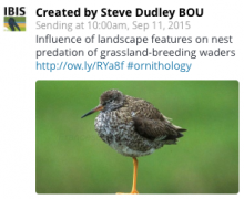 Dudley blog good image tweet