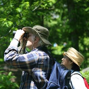 Wiki_Birdwatching featured