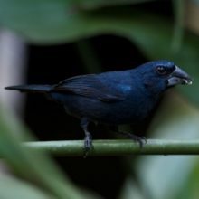 garcia-featured-220x220