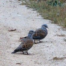 gutierez-featured-square