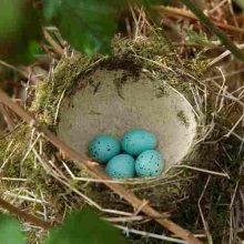 mainwaring featured square