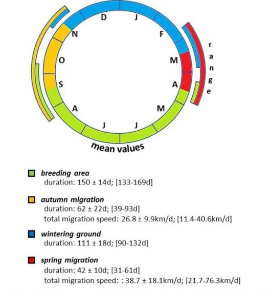 bairlein et al fig 3