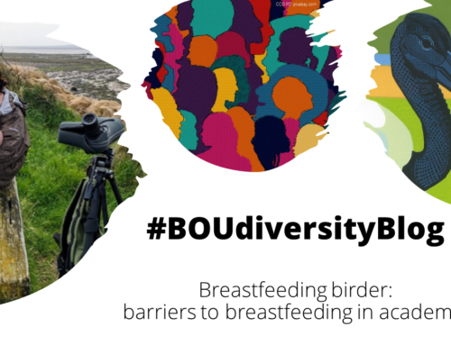 Breastfeeding birder: barriers to breastfeeding in academia