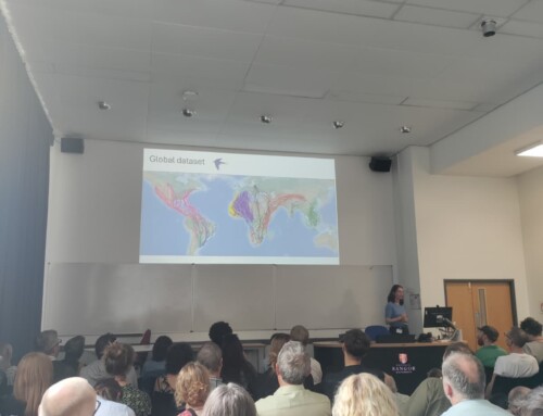 Barn Swallows, New Collaborations, and Welsh Dancing: My First EOU Experience