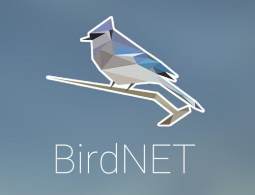 Optimizing BirdNET: lessons from a global initiative